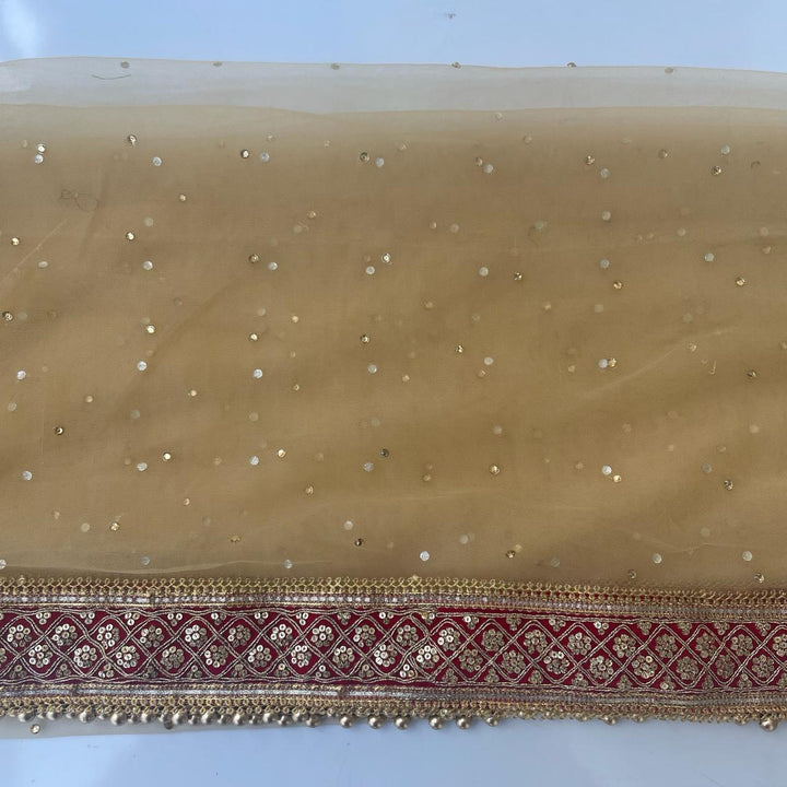 anokherang Dupattas Bridal Gold Stone Embroidered Net Dupatta