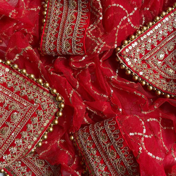 anokherang Dupattas Bridal Kashish Red Net Embroidered Dupatta