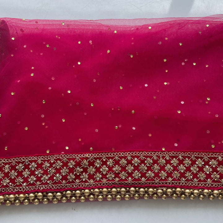 anokherang Dupattas Bridal Magenta Jewel Embroidered Stone Net Dupatta