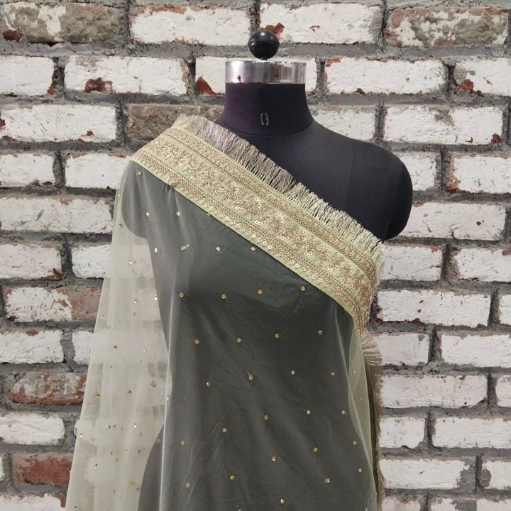 anokherang Dupattas Bridal Sage Green Gold Zari Embroidered Net Stone Fringe Dupatta