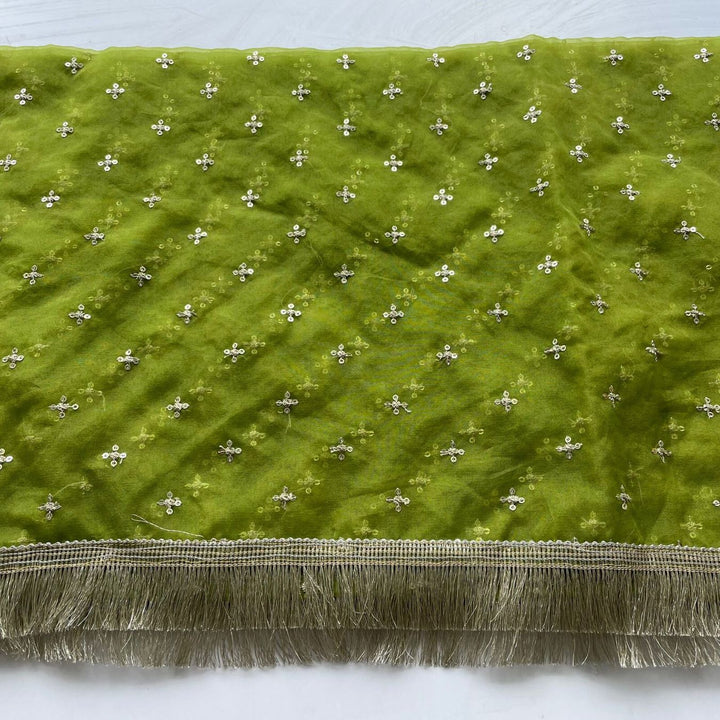 anokherang Dupattas Green Pakeeza Organza Fringed Dupatta