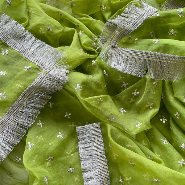 anokherang Dupattas Green Pakeeza Organza Fringed Dupatta