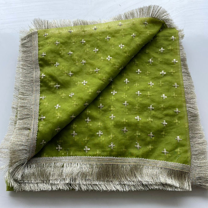 anokherang Dupattas Green Pakeeza Organza Fringed Dupatta