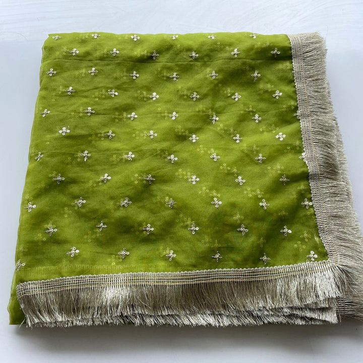 anokherang Dupattas Green Pakeeza Organza Fringed Dupatta