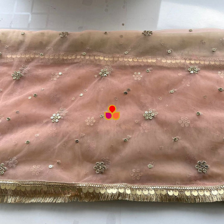 anokherang Dupattas Mint Peach Net Embroidered Laced Dupatta