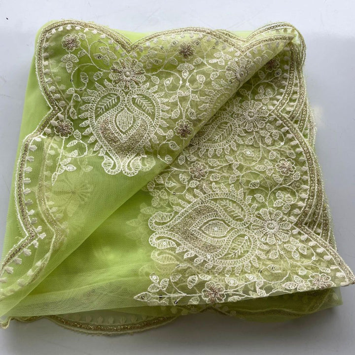 anokherang Dupattas Pastel Pista Chikankari Embroidered Net Dupatta