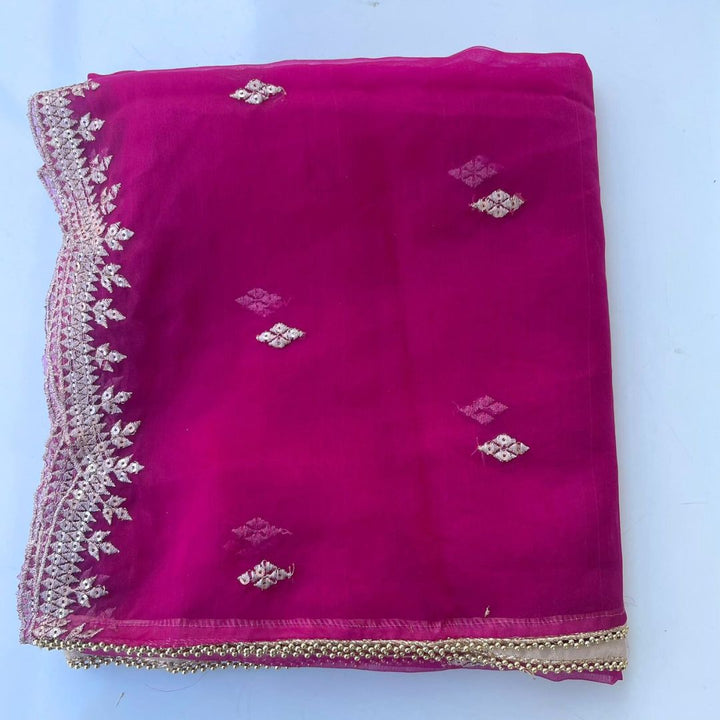 anokherang Dupattas Raspberry Pink Delight Zari Embroidered Organza Dupatta