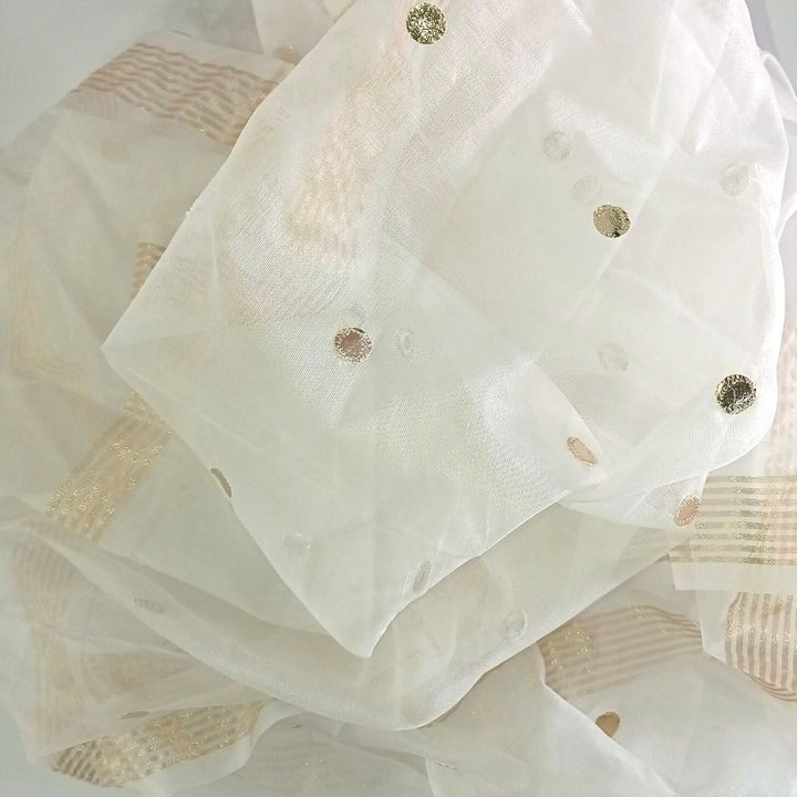 anokherang Dupattas Cloudy White Gotta Organza Dupatta