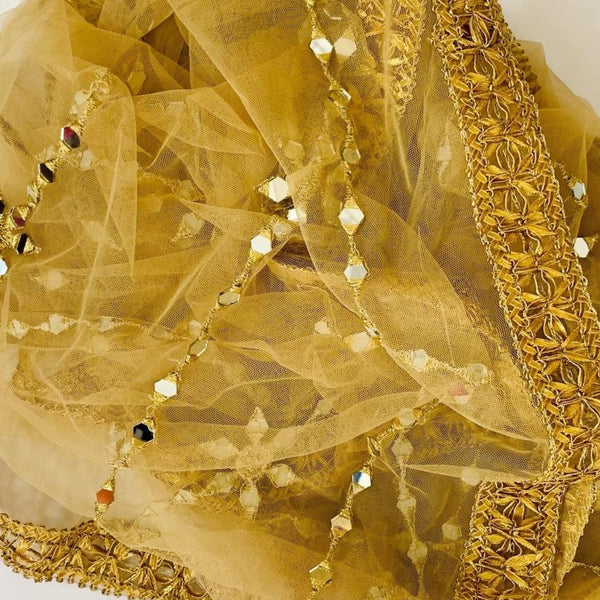 anokherang Dupattas Golden Mirror Trails Net Dupatta