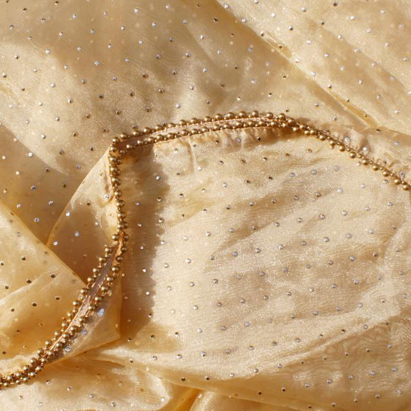 anokherang Dupattas Golden Polka Dot Foil Beaded Organza Dupatta