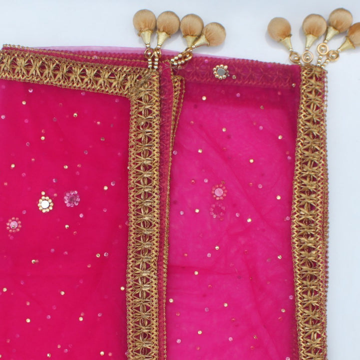 anokherang Dupattas Pink Net Gold and Mirror Dupatta