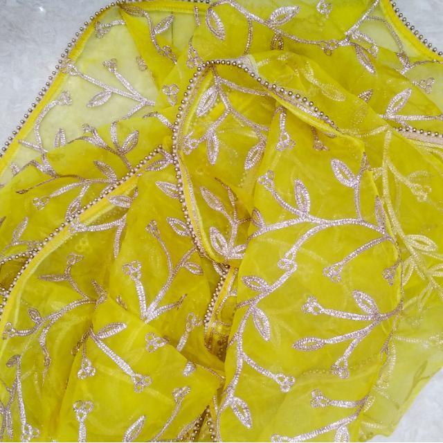 Yellow Gotta Leave Trails Net Dupatta – anokherang